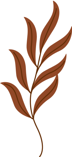 feuille_1