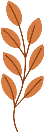 feuille_2