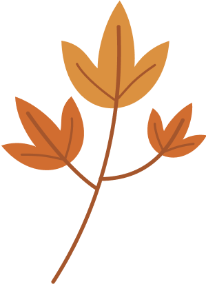 feuille_3